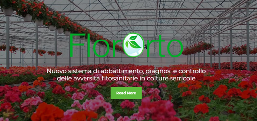 flororto