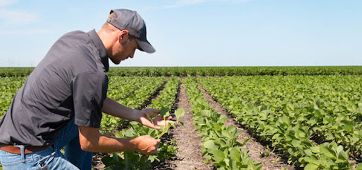 Riconoscere la produzione agricola come bene pubblico