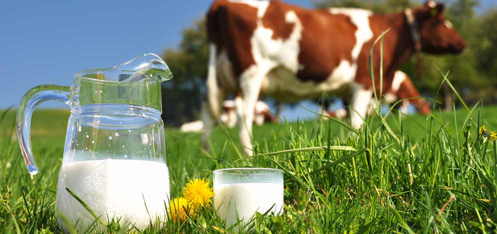 Latte, prezzi bloccati e costi insostenibili – La filiera del latte italiano deve agire