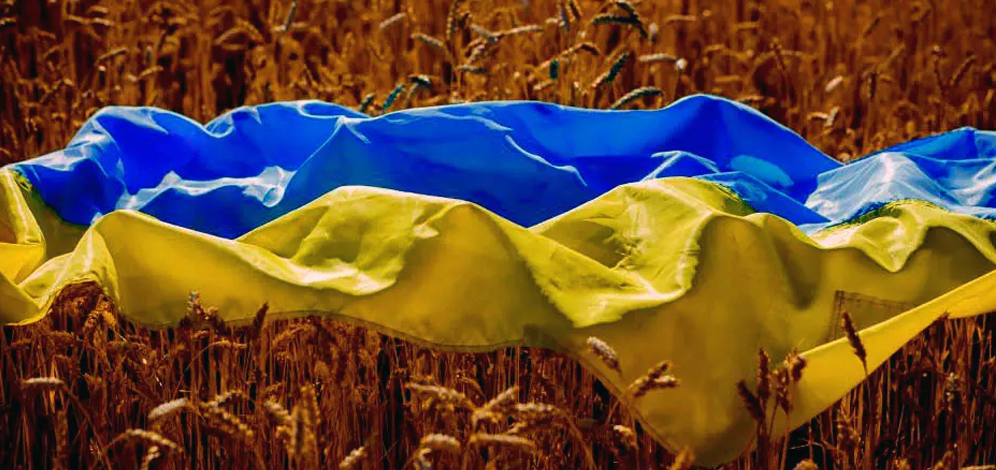 Grano dall’Ucraina: piano d’azione UE per evitare una crisi alimentare globale