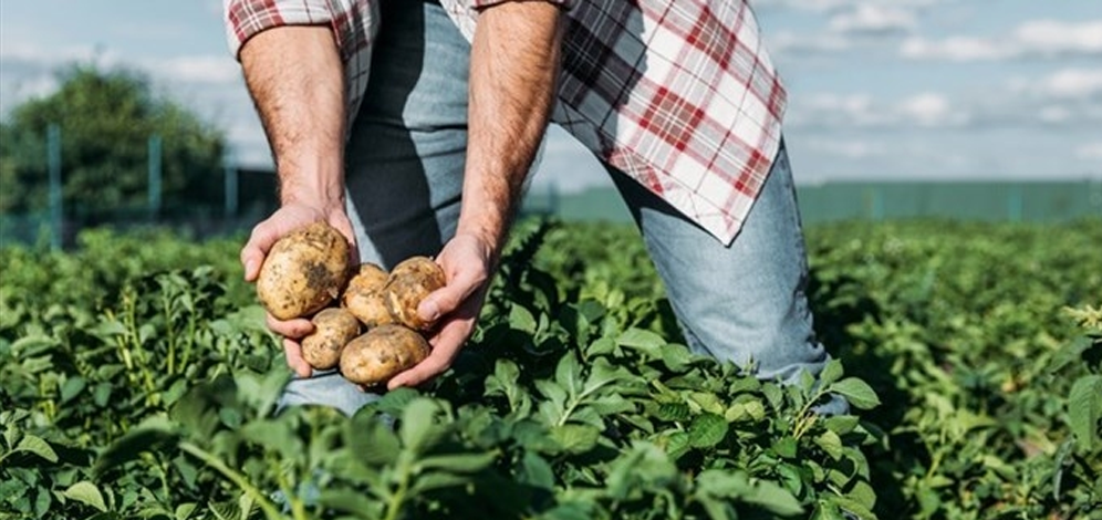 Rinnovato il contratto di lavoro operai agricoli e florovivaisti: retribuzioni aumentate del 4,7%