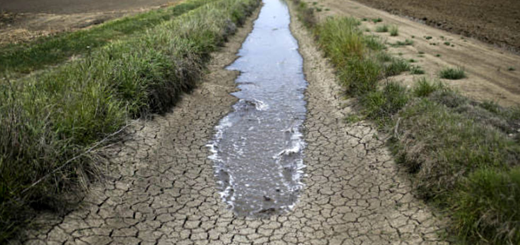 Siccità: comincia a mancare l’acqua nei campi e non sono previste perturbazioni