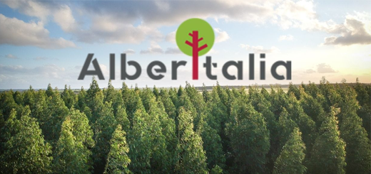 Individuazione aziende agricole per progetto di piantagioni alberi sia con finalità bosco che con finalità produttive