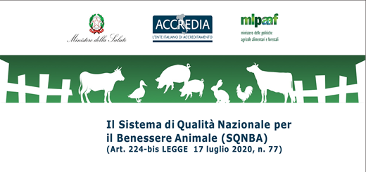 Certificazione SQNBA: Sistema di qualità nazionale per il benessere animale