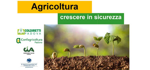 crescere in sicurezza