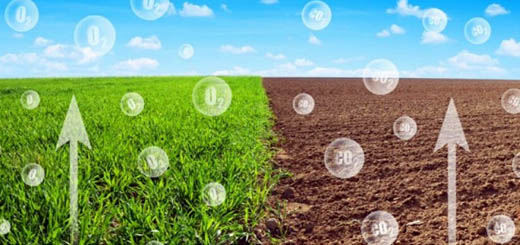 Carbon Farming – La proposta di certificazione della Commissione UE è primo passo nella direzione giusta