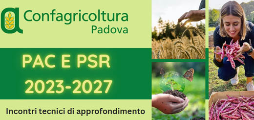 PAC e PSR 2023-2027