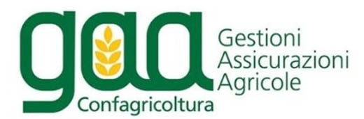 gaa assicurazioni 2