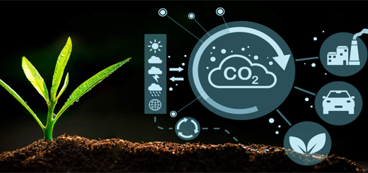 Carbon farming: soddisfatti per l’emendamento al PNRR che valorizza il ruolo di agricoltori e forestali