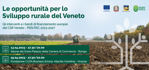 Gli interventi e i bandi di finanziamento europei del CSR Veneto – eventi di presentazione