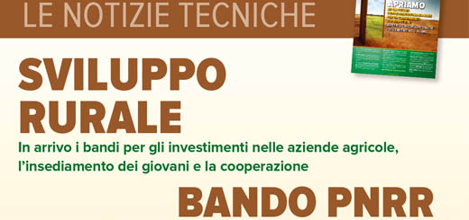 Approvati 23 bandi per 150 milioni di euro, a sostegno di giovani agricoltori, investimenti e cooperazione