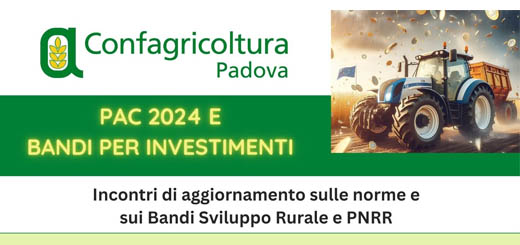 PAC 2024 e Bandi per Investimenti